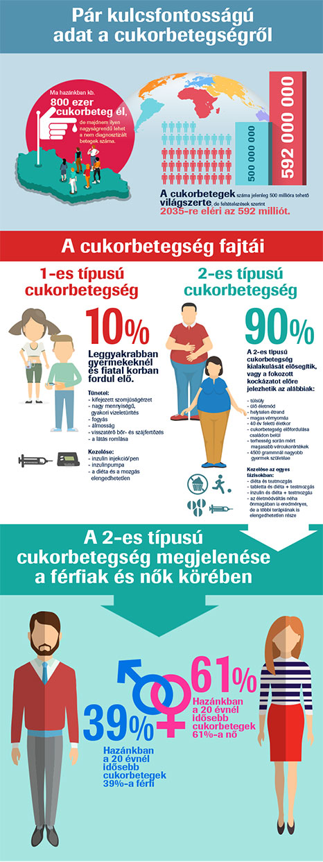 Szakmai infografika